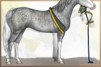 Horse Color:Silver Black Chinchilla Ice Splash 