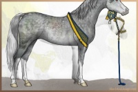 Horse Color:Silver Black Chinchilla Ice 