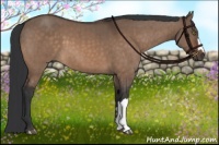 Horse Color:Brown Dun Brindle 