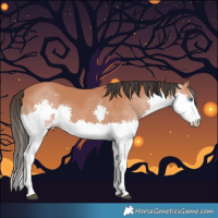 Horse Color:Brown Splash