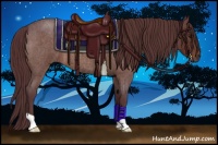 Horse Color:Chocolate Brown Roan 