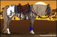 Horse Color:Liver Red Roan Appaloosa