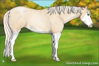 Horse Color:Silver Amber Champagne Roan Pearl Splash 