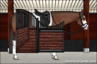 Horse Color:Bay Sabino 