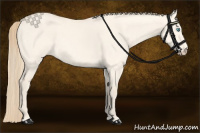 Horse Color:Perlino Dun 