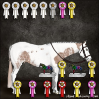 Horse Color:Chestnut Ice Sabino Splash Tobiano Appaloosa Rabicano 