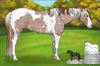 Horse Color:Chestnut Ice Sabino Splash Tobiano Varnish Rabicano