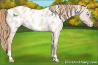 Horse Color:White Spotted Perlino Dun Blanket