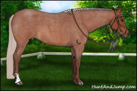 Horse Color:Chocolate Silver Bay Roan Sabino