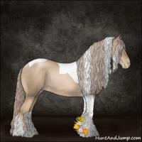 Horse Color:Liver Chestnut Pearl Sabino Tobiano Rabicano