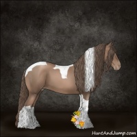 Horse Color:Black Pearl Tobiano 