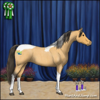 Horse Color:Buckskin Roan Tobiano 