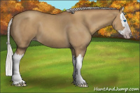 Horse Color:Gray Silver Classic Champagne Dun Splash 
