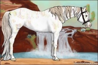 Horse Color:White Spotted Palomino Ice Tobiano