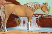 Horse Color:Gray Gold Cream Champagne Tobiano