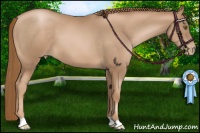 Horse Color:Liver Chestnut Pearl 