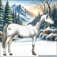 Horse Color:Painted Buckskin Dun Appaloosa 