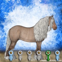 Horse Color:Liver Red Dun Mushroom Rabicano Brindle 