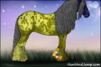 Horse Color:ERROR: UNKNOWN ANOMALY