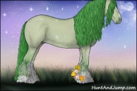 Horse Color:Watercolor Bay Dun 