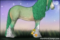 Horse Color:Watercolor Bay 