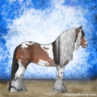Horse Color:Bay Tobiano Frame 