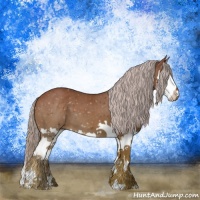 Horse Color:Chocolate Palomino Roan Splash