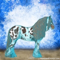 Horse Color:Thunderstruck Liver Chestnut Appaloosa 