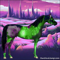 Horse Color:ERROR: UNKNOWN ANOMALY and ERROR: UNKNOWN ANOMALY