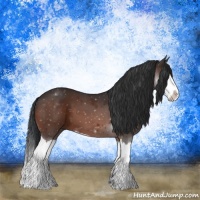 Horse Color:Brown Sabino Splash
