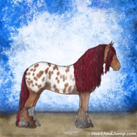 Horse Color:Painted Bay Appaloosa 