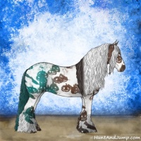 Horse Color:Bay Sabino 
