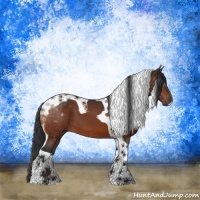 Horse Color:Bay Tobiano 