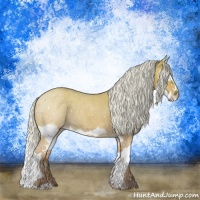 Horse Color:Silver Buckskin Roan Splash