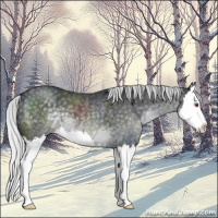 Horse Color:Silver Black Chinchilla Splash 