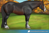 Horse Color:Brown 