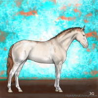 Horse Color:White Spotted Gold Champagne Dun Rabicano