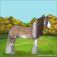 Horse Color:Liver Red Dun Sabino Splash 
