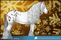 Horse Color:White Spotted Liver Chestnut Appaloosa 