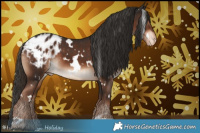 Horse Color:White Spotted Liver Chestnut Blanket 