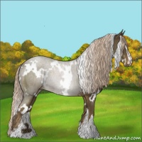 Horse Color:White Spotted Chocolate Palomino Sabino 