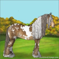 Horse Color:White Spotted Chocolate Palomino 