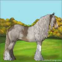 Horse Color:Chocolate Palomino Roan