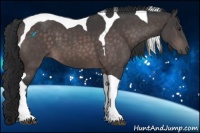 Horse Color:Platinum Brown Tobiano 