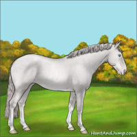 Horse Color:Platinum White Spotted Chocolate Palomino Pearl Dun 