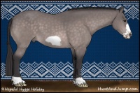 Horse Color:Platinum Buckskin Frame 