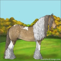 Horse Color:Chocolate Palomino Dun Tobiano