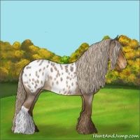Horse Color:Chocolate Palomino Roan Blanket 