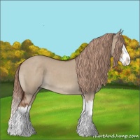 Horse Color:Liver Red Dun Roan Splash