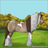 Horse Color:Liver Red Dun Tobiano 
